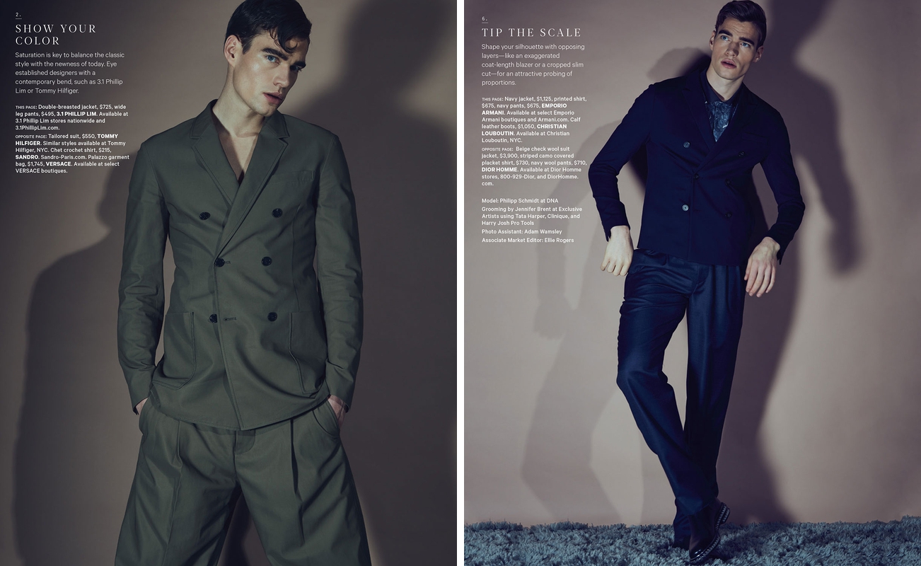 philipp schmidt model